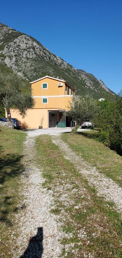 Apartman Barbara Kotor Exterior foto
