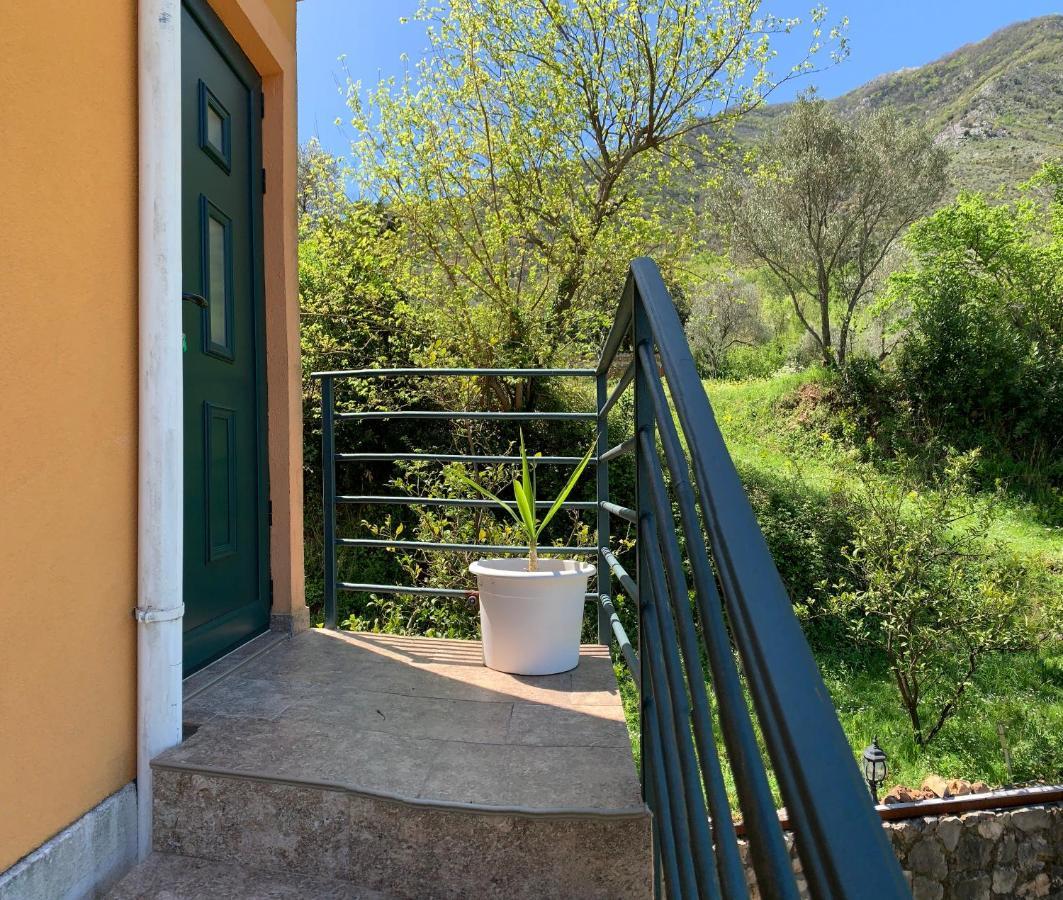 Apartman Barbara Kotor Exterior foto